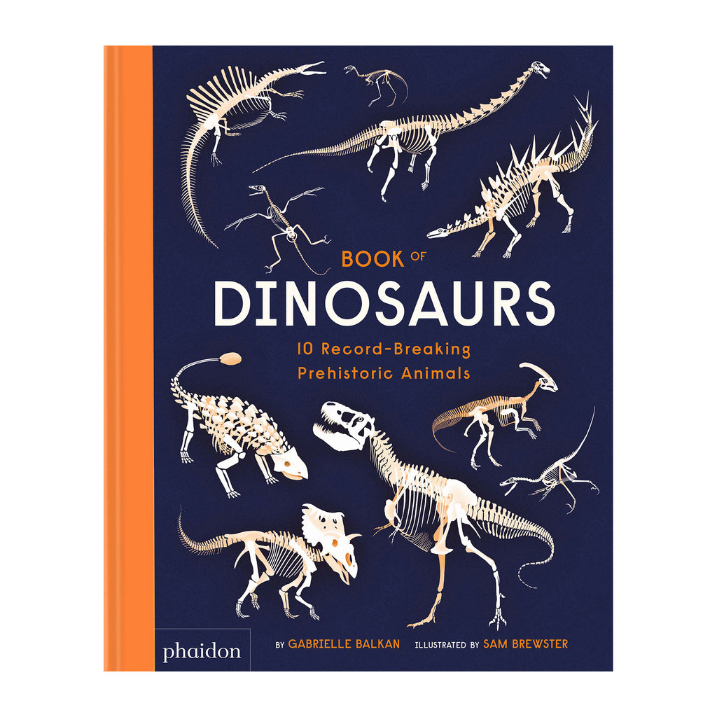 Book of Dinosaurs, available at Bobby Rabbit. Free UK Delivery over £75