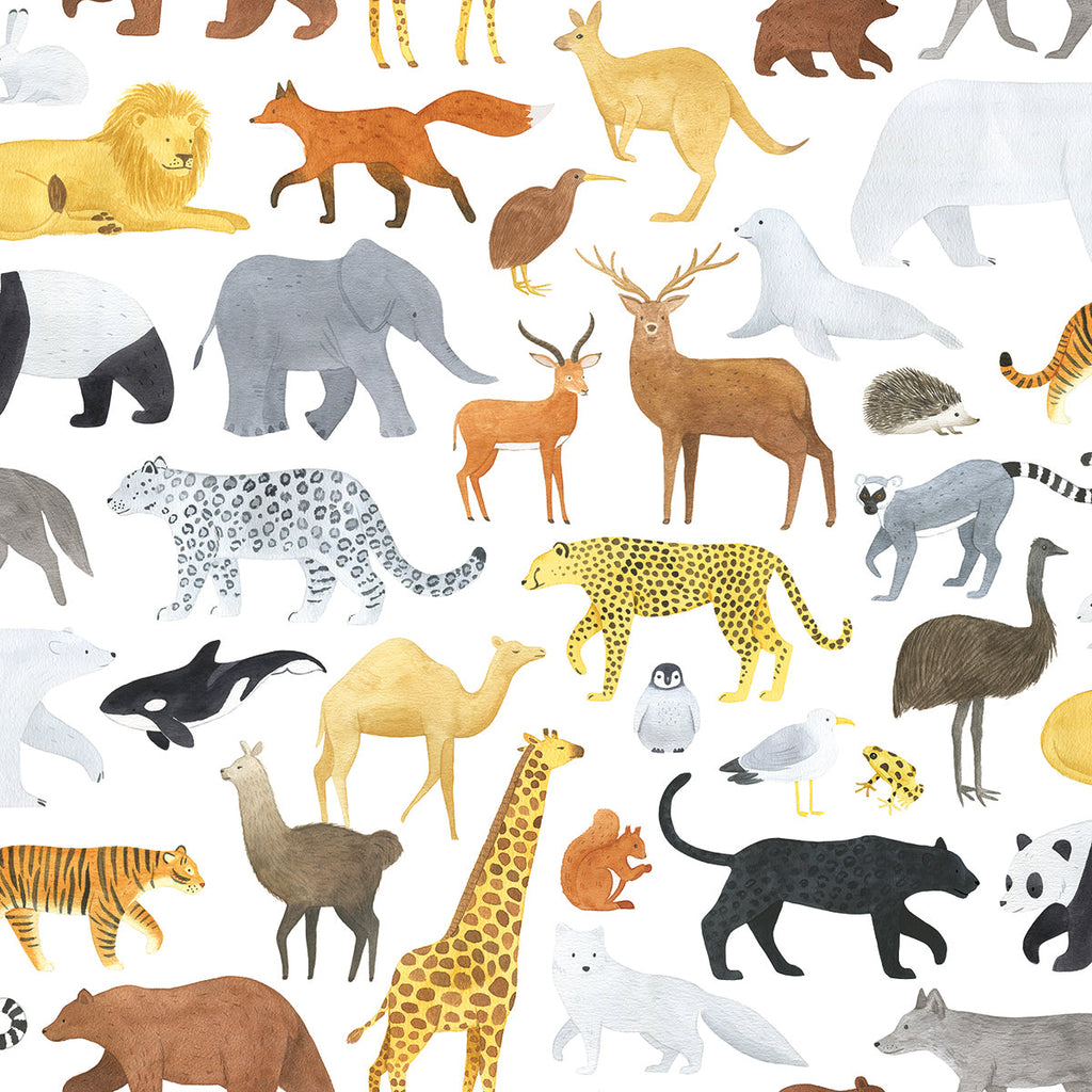 Bright Animals Wallpaper by Lilipinso, available at Bobby Rabbit. Free UK Delivery over £75
