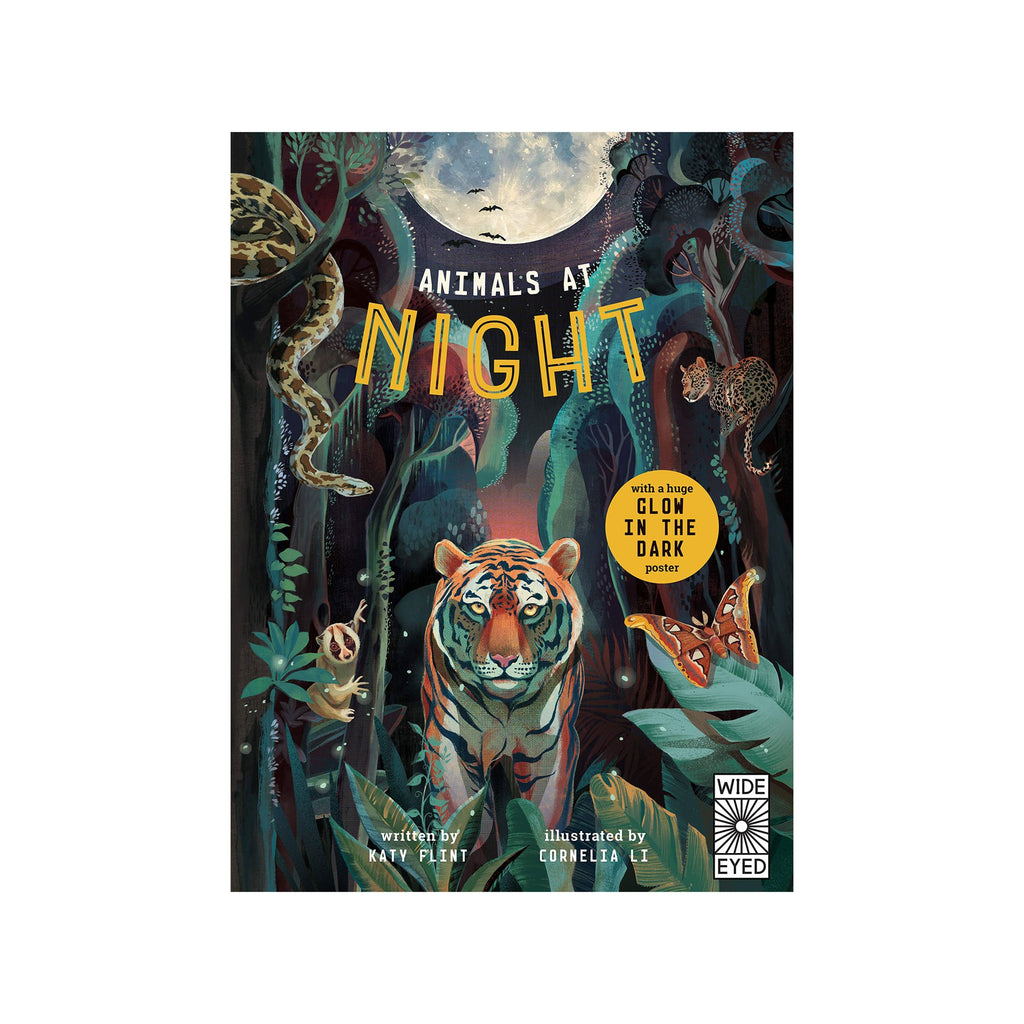 Animals At Night Book by Katy Flint, available at Bobby Rabbit.